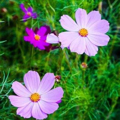 3.21电工节丨驭电无限，感谢每一...